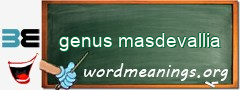 WordMeaning blackboard for genus masdevallia
